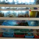 어랏차회포차 이미지