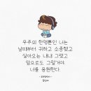 이*진 Daum카페