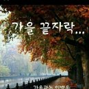 🍁 2023년11월15일(수요일)출석부 🍁 ~ 이미지