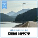 중평항 티스토리