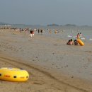 대천해수욕장 이미지