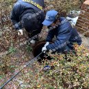 남악1로 이미지