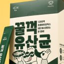 대학애견용품 이미지