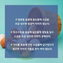 청소특공대 이미지
