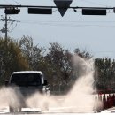 순천만 메추리 이미지