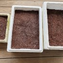 행복한 굼벵이 마을 이미지