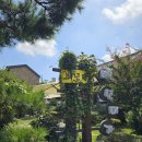 백년미가(유촌점) 이미지