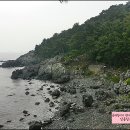 동백섬입구(웨스틴조선비치) 이미지