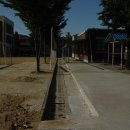 동보초등학교 이미지