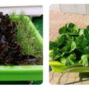 주식회사 건강상자 이미지