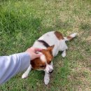 옵토닉스