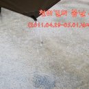 (주)오토캠프 Daum카페