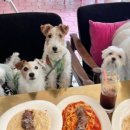 울루라떼 이미지