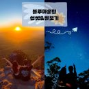 (주)영종베스트투어 | 블루마운틴 선셋 별보기 투어 추천할까? 내돈내산 솔직후기