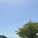 미나반점 네이버블로그