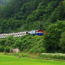 치악2호 이미지