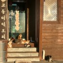맛있는한상 | [강화 교동 시골밥상] 대룡시장 근처 맛집 정갈하고 맛있는 한식 한상차림 재방문 후기