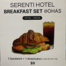 PARIS BAGUETTE Cafe´ | 세렌티호텔 조식세트 바우처로 오하스카페에서 조식 먹은 후기(ohas cafe serenti hotel breakfast set)