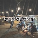 서해안마트 | [충남 태안] 서해안 오션뷰 몽산포 청솔캠핑장 (편의시설 정보 및 캠핑후기)