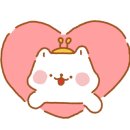 와이엠뷰티