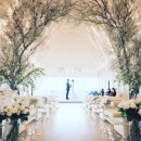 알렉스 하우스 이미지