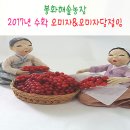 해솔농장 이미지