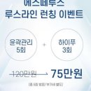 에스떼루스
