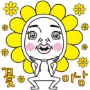 디엠달서점