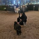 행복한강아지 이미지