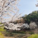 노작공원(오산천변) 이미지