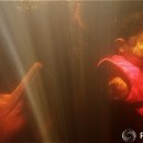 테라피아 이미지