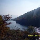 춘식이네 이미지