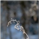 into the f 이미지