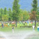 화천파크 이미지