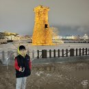 월성체육시설 | 경주 비단벌레차 예약방법 현장예매 상세히 알려드려요