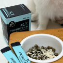 피앤에이 | 특허 유산균 강아지 고양이 설사 변비 묽은변 장건강예방 휴먼그레이드_피앤에이랩 에이스프로바이오틱스