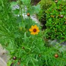 백양동물병원 이미지