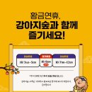 강아지숲 박물관 이미지