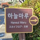 뽑아가게 | 부산 여행 가볼만한곳 감천문화마을 (+태성당, 우인카페, 기념품샵)