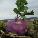 현우농장 이미지