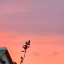 제주 덕수재 이미지