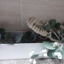 운정모텔 이미지