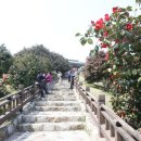 동백축산