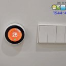 청원 NEST 이미지