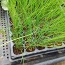 도시농업관리사반 이미지