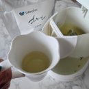 농업회사법인참사랑친환경㈜ | 제주 다희연 녹차 깊고 풍미 좋은 녹차티백 마롱 웰니스 라이프 추천!