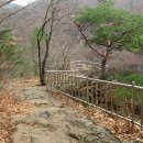 청량산유림길 Daum카페