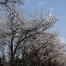 7080황진이 이미지