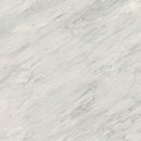 화이트타일(White tile)