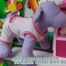 애견&만들기 이미지